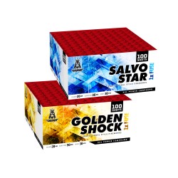 Golden Shock & Salvo Star Flowerbeds