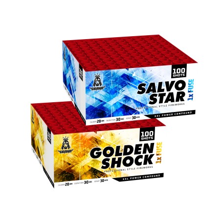 Golden Shock & Salvo Star Flowerbeds